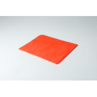 Простыня люкс 50 шт 200х90